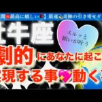 牡牛座🌹【ついに動き出す😭嬉しい急展開㊗️】見た瞬間から変化する❤️今がお辛くても最高の未来への流れを引き寄せステージアップの時🎇🌈深掘りリーディング#潜在意識#ハイヤーセルフ#牡牛座