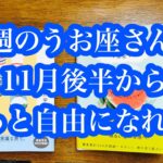 新時代の幕開け！今週のうお座さん＆11月後半から、自由になれる時代へ！