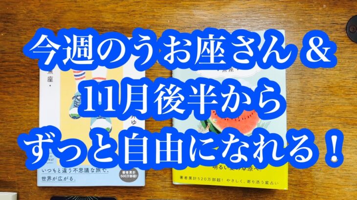 新時代の幕開け！今週のうお座さん＆11月後半から、自由になれる時代へ！