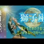 【11月後半✴︎獅子座】自信と自己エネルギーを大切に進む！！ミラクルを感じる流れにもう乗っている🌎✴︎学びと意図する力で自分を超える時期【2024】