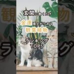 【玄関に置くだけ】金運が爆上がりする観葉植物ランキングTOP5  #shorts #風水 #開運