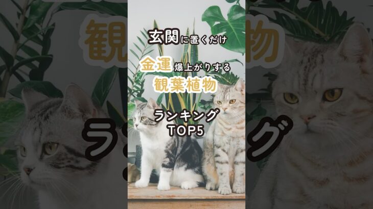 【玄関に置くだけ】金運が爆上がりする観葉植物ランキングTOP5  #shorts #風水 #開運