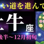 【牡牛座11月後半〜】芸術の秋🎨に癒されながら願望実現へと向かっていく✨⚪︎⚪︎にだけご注意を⚠️