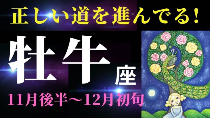 【牡牛座11月後半〜】芸術の秋🎨に癒されながら願望実現へと向かっていく✨⚪︎⚪︎にだけご注意を⚠️