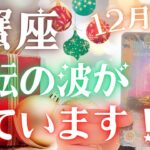 【蟹座】✨🤩神回⁉️🤩✨好転の波が押し寄せてきそうです🌊✨12月運勢🔮✨