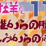 【牡羊座】2024年11月後半の運勢♈️〝困難からの脱却・苦しみからの解放‼️理想を思う存分思い描いてゆっくり好転の波に乗って変化していくのを楽しんでいって☀️〟仕事・人間関係のタロットリーディング🔮