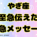 【山羊座】とても山羊座さんらしいメッセージがきました❣️❗️＃タロット、＃オラクルカード、＃当たる、＃占い、＃緊急