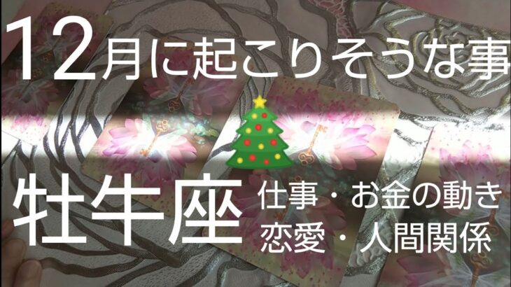 【牡牛座♉️12月運勢】🎄盛大に豊かさを引き寄せる時‼️#カードリーディング#スピリチュアル#オラクルカード#運命#占い#牡牛座#おうし座#おうし座12月#牡牛座12月#個人鑑定級#人生相談