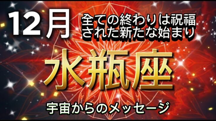 [水瓶座12月]金星入り、モテ期に入り,忙しくなりそう[宇宙からのメッセージ]