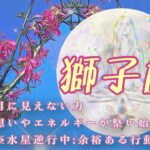 【12月✴︎獅子座】純粋にシンプルに受け取れる🤍✴︎感情は全て宝物🌙流れに乗りながら新しい経験を◎【2024】