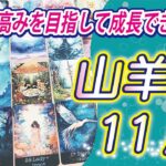 【山羊座2024年11月の運勢】自身を成長させたり、スキルアップするのに最適な月！力を蓄えながら、次なるステージに向けて計画を立てて下さい！⭐️タロットオラクルリーディング🌙グランタブロー🌈