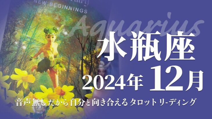 【みずがめ座】変化の真っ只中・把握している・済ませておくべき事★2024年12月★タロットリーディング【音声なし】【水瓶座】