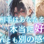 【辛口も神展開もあり🚨🌶】全く読めないあの人の本音❤️🧠はっきりわかりやすくお伝えします【現在のお相手はあなたを本当に好き？それとも別の感情？】で引いたら思わなぬ神展開でました💕引き寄せアドバイス💖