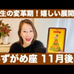 みずがめ座♒️11月後半🔮人生の変革期！✨嬉しい展開！変化に対応し幸運を掴み取る！