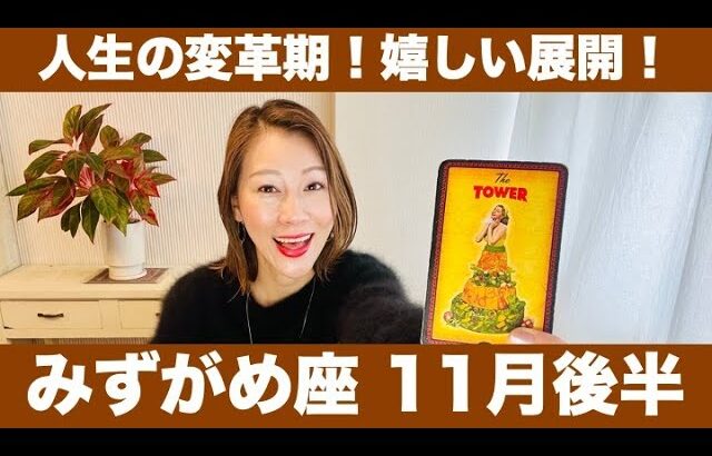 みずがめ座♒️11月後半🔮人生の変革期！✨嬉しい展開！変化に対応し幸運を掴み取る！