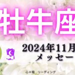 【おうし座11月後半】最善の人生しか待っていない🌈✨泣けてきた🥹🩷生まれてきてくれてありがとう🍀