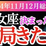 【乙女座】2024年11月～2025年1月のおとめ座の星とタロットが導く乙女座の未来の幸運とは？