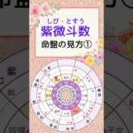 【紫微斗数】命盤の見方　#shorts #紫微斗数