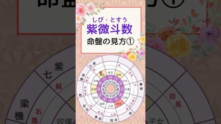 【紫微斗数】命盤の見方　#shorts #紫微斗数