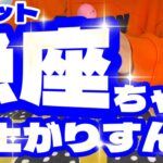 【タロット】うお座ちゃん〜爆上がりすんぞ🐟〜