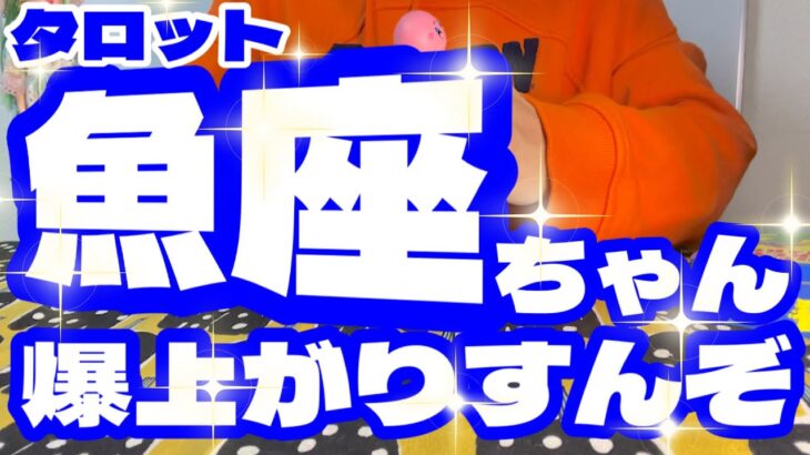 【タロット】うお座ちゃん〜爆上がりすんぞ🐟〜