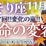 【さそり座】超レア回!!! 運命の変容を受け入れて!! 全体運だけでも見てください💝✨【仕事運/対人運/家庭運/恋愛運/全体運】11月運勢  タロット占い