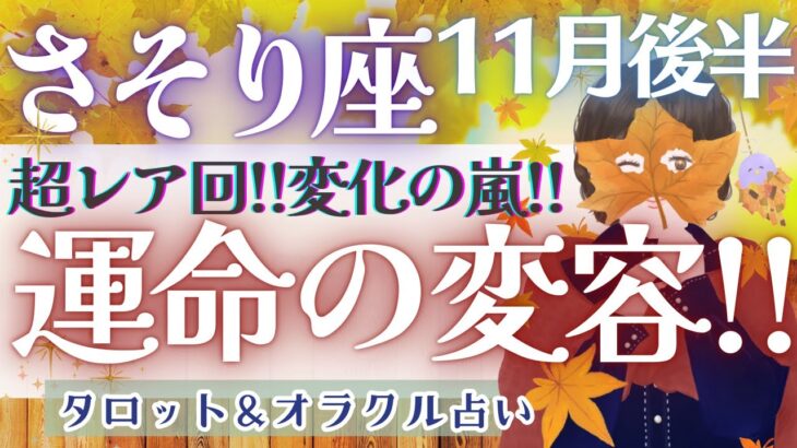 【さそり座】超レア回!!! 運命の変容を受け入れて!! 全体運だけでも見てください💝✨【仕事運/対人運/家庭運/恋愛運/全体運】11月運勢  タロット占い