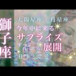 ♌️獅子座🌙11/15~12/15🌟新展開のための切り替え 本音を伝えて前進するチャンス 自分のやり方で自分らしく🌟しあわせになる力を引きだすタロットセラピー