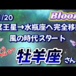 ♈️牡羊座  【2024年11月20日 冥王星水瓶座入り】  風の時代スタート🌈チラッと見てみます✨