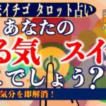 ★忖度なしタロット占い★あなたのやる気スイッチ、どこでしょう？★占い芸人★