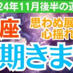 【魚座】2024年11月後半のうお座総合運✨運命が変わる瞬間がここに！