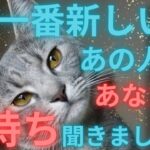 今一番新しいあの人の気持ちを聞きました🫨恋愛タロット占い ルノルマン オラクルカード 個人鑑定級に深掘りリーディング