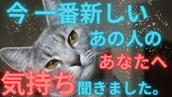 今一番新しいあの人の気持ちを聞きました🫨恋愛タロット占い ルノルマン オラクルカード 個人鑑定級に深掘りリーディング