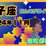 【双子座】2024年11月の運勢✨見た時がタイミング✨