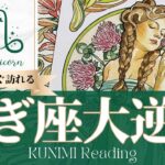 山羊座♑乗り越えるべき試練を乗り越え大逆転🍀もうすぐ訪れる大逆転🍀どんな大逆転が🍀いつ頃訪れる？🌝月星座やぎ座さんも🌟タロットルノルマンオラクルカード