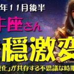 【牡牛座】2024年11月後半のおうし座の金運、恋愛運、仕事運を12星座とタロット占いで徹底追及！