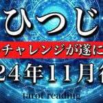 おひつじ座♈️2024年11月後半　着実な一歩を踏み込む🔥本気の人生が遂に始まる！Aries tarot  reading