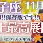 【獅子座】史上最高!! 全てのテーマでシンクロメッセージ!! 見逃し注意😭💕✨【仕事運/対人運/家庭運/恋愛運/全体運】11月運勢  タロット占い