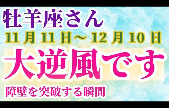 【牡羊座】 2024年11月11日から12月10日までのおひつじ座の運勢。星とタロットで読み解く未来 #牡羊座 #おひつじ座