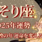 【さそり座】2025年運勢　人生転換の年、運命を変える出会い🌈幸運の鍵は、新しい学びを取り入れること【蠍座 ２０２５年】【年間保存版】タロットリーディング