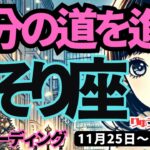 【蠍座】♏️2024年11月25日の週♏️自分の道を進む。でも迷ったら、アドバイスも聞いてね。タロット占い