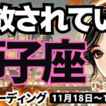 【獅子座】♌️2024年11月18日の週♌️澄んだ心で解放されていく🍃希望が叶う時が来た‼️タロット占い🍀