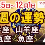 【今週の運勢11月25日から12月1日】射手座 山羊座 水瓶座 魚座