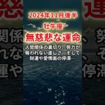 【牡牛座】2024年11月後半、おうし座に降りかかる無慈悲な運命と課せられた試練#牡牛座#おうし座