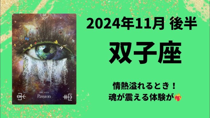 【双子座】情熱溢れるとき！魂が震える体験があります！！【ふたご座2024年11月16〜30日の運勢】