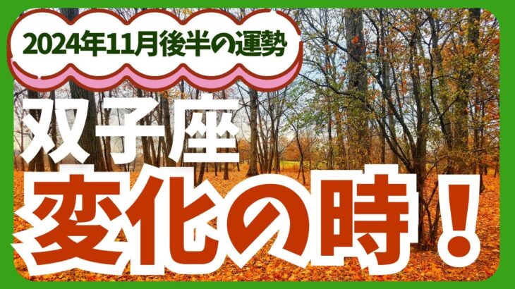 【双子座】2024年11月後半のふたご座の恋愛運・金運を占星術とタロットで占います。〜変化の時〜