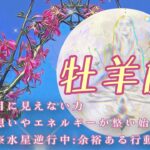 【12月✴︎牡羊座】人生の目的を再設定！恐れを超えて挑戦できる好奇心◎自分の時間も大切に✴︎【2024】