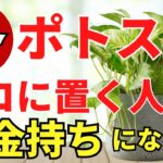 冬のポトスで金運アップ！置き場所とお手入れ【風水アドバイザーがご紹介】