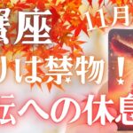 【蟹座】今は休息が好転への鍵です🐦‍🔥✨11月運勢🔮✨