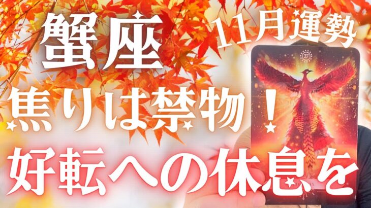 【蟹座】今は休息が好転への鍵です🐦‍🔥✨11月運勢🔮✨